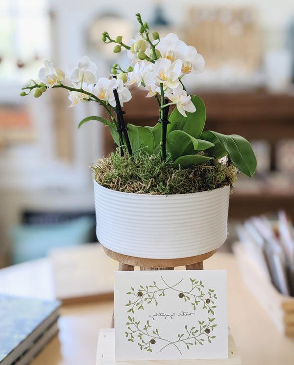 Sympathy Centerpiece Potted Orchid Arrangement